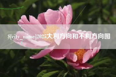 阜新2025大利方向和不利方向图