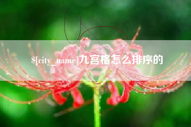 阜新九宫格怎么排序的