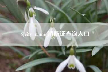 阜新消防证查询入口