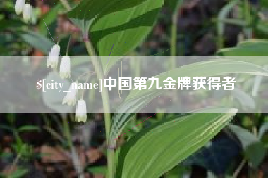 阜新中国第九金牌获得者