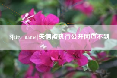 阜新失信被执行公开网查不到