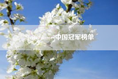 阜新中国冠军榜单