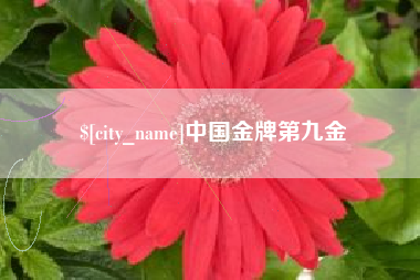 阜新中国金牌第九金
