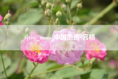 阜新中国地图9宫格