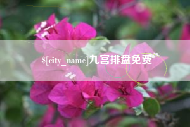阜新九宫排盘免费