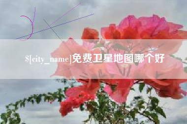 阜新免费卫星地图哪个好