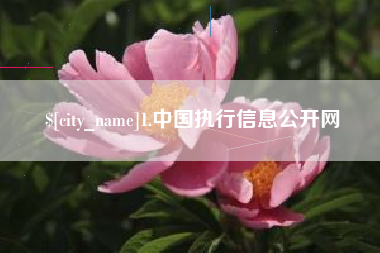 阜新1.中国执行信息公开网