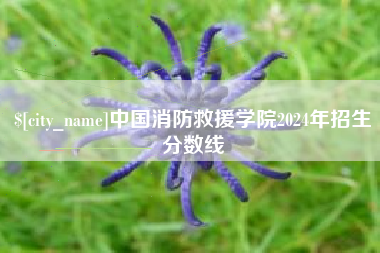 阜新中国消防救援学院2024年招生分数线