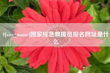 阜新国家应急救援员报名网址是什么