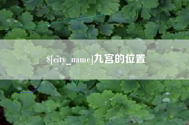 阜新九宫的位置