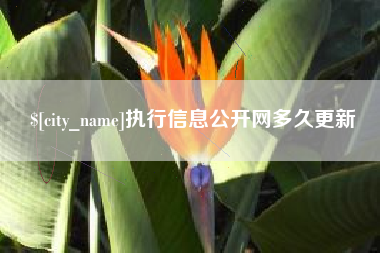 阜新执行信息公开网多久更新