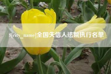阜新全国失信人法院执行名单