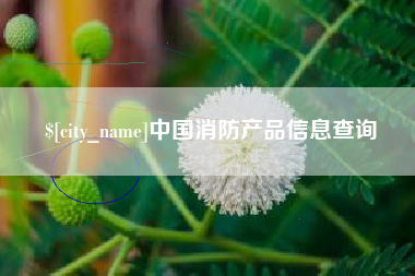 阜新中国消防产品信息查询