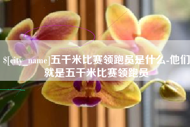 阜新五千米比赛领跑员是什么-他们就是五千米比赛领跑员