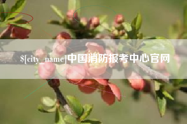 阜新中国消防报考中心官网