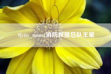 阜新消防救援总队王星