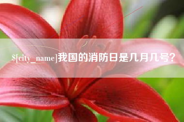 阜新我国的消防日是几月几号？