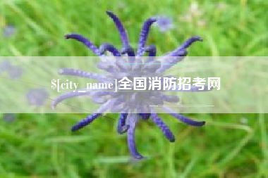 阜新全国消防招考网