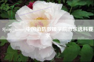 阜新中国消防救援学院山东选科要求