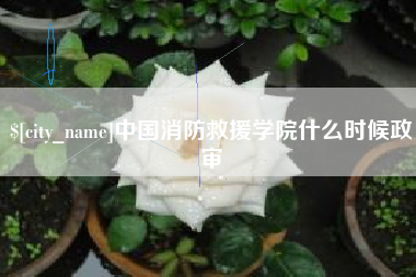 阜新中国消防救援学院什么时候政审