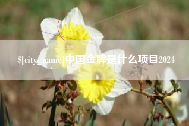 阜新中国金牌是什么项目2024