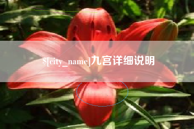 阜新九宫详细说明