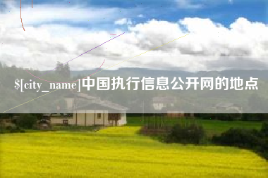 阜新中国执行信息公开网的地点