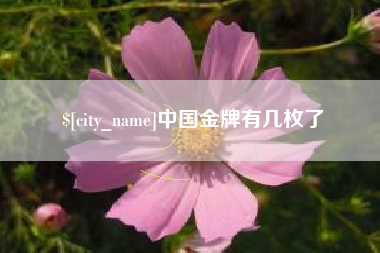 阜新中国金牌有几枚了