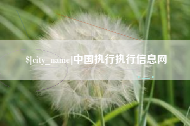 阜新中国执行执行信息网