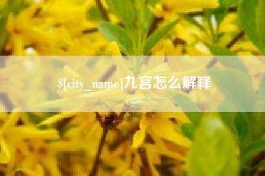 阜新九宫怎么解释