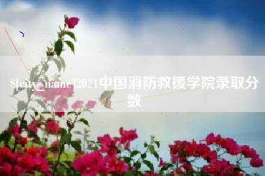 阜新2021中国消防救援学院录取分数