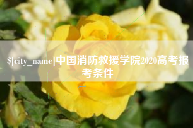 阜新中国消防救援学院2020高考报考条件