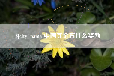 阜新中国夺金有什么奖励
