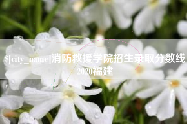 阜新消防救援学院招生录取分数线2020福建