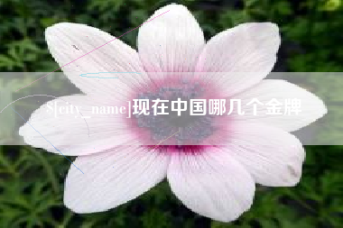 阜新现在中国哪几个金牌