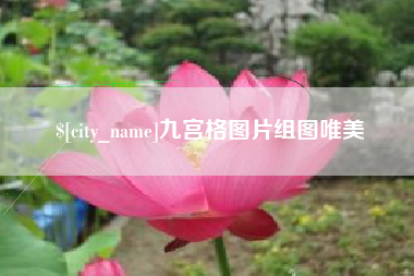 阜新九宫格图片组图唯美