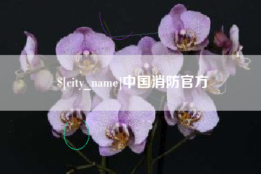 阜新中国消防官方