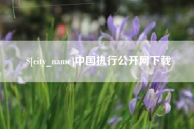 阜新中国执行公开网下载
