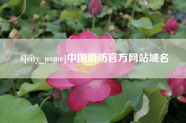 阜新中国消防官方网站域名