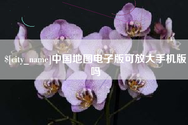 阜新中国地图电子版可放大手机版吗