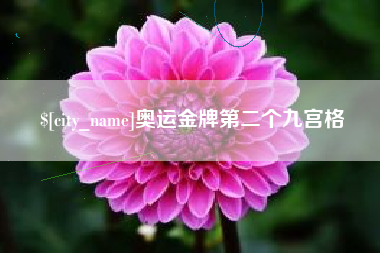 阜新奥运金牌第二个九宫格