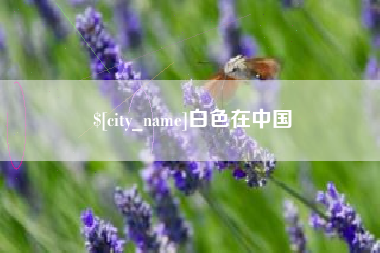 阜新白色在中国