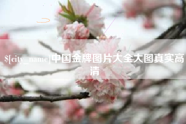 阜新中国金牌图片大全大图真实高清