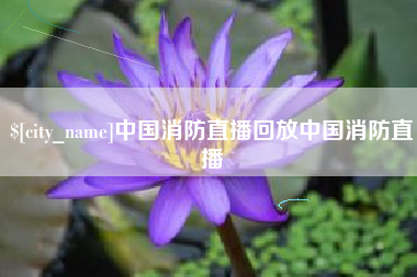 阜新中国消防直播回放中国消防直播