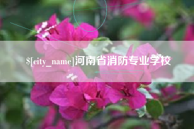 阜新河南省消防专业学校