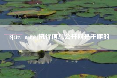 阜新执行信息公开网是干嘛的