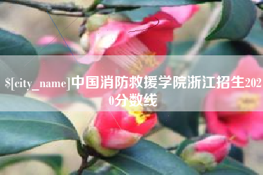 阜新中国消防救援学院浙江招生2020分数线