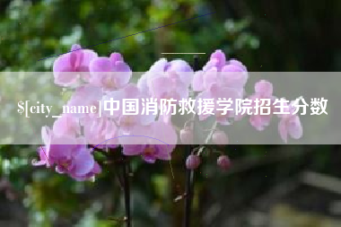 阜新中国消防救援学院招生分数