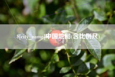 阜新中国地图(含比例尺)