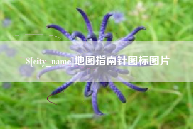 阜新地图指南针图标图片